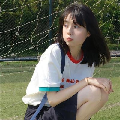 秋田犬蓬夫